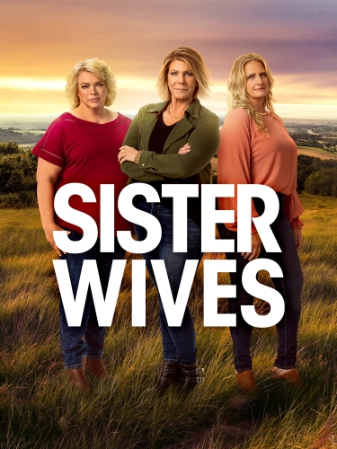 Sister Wives 2010