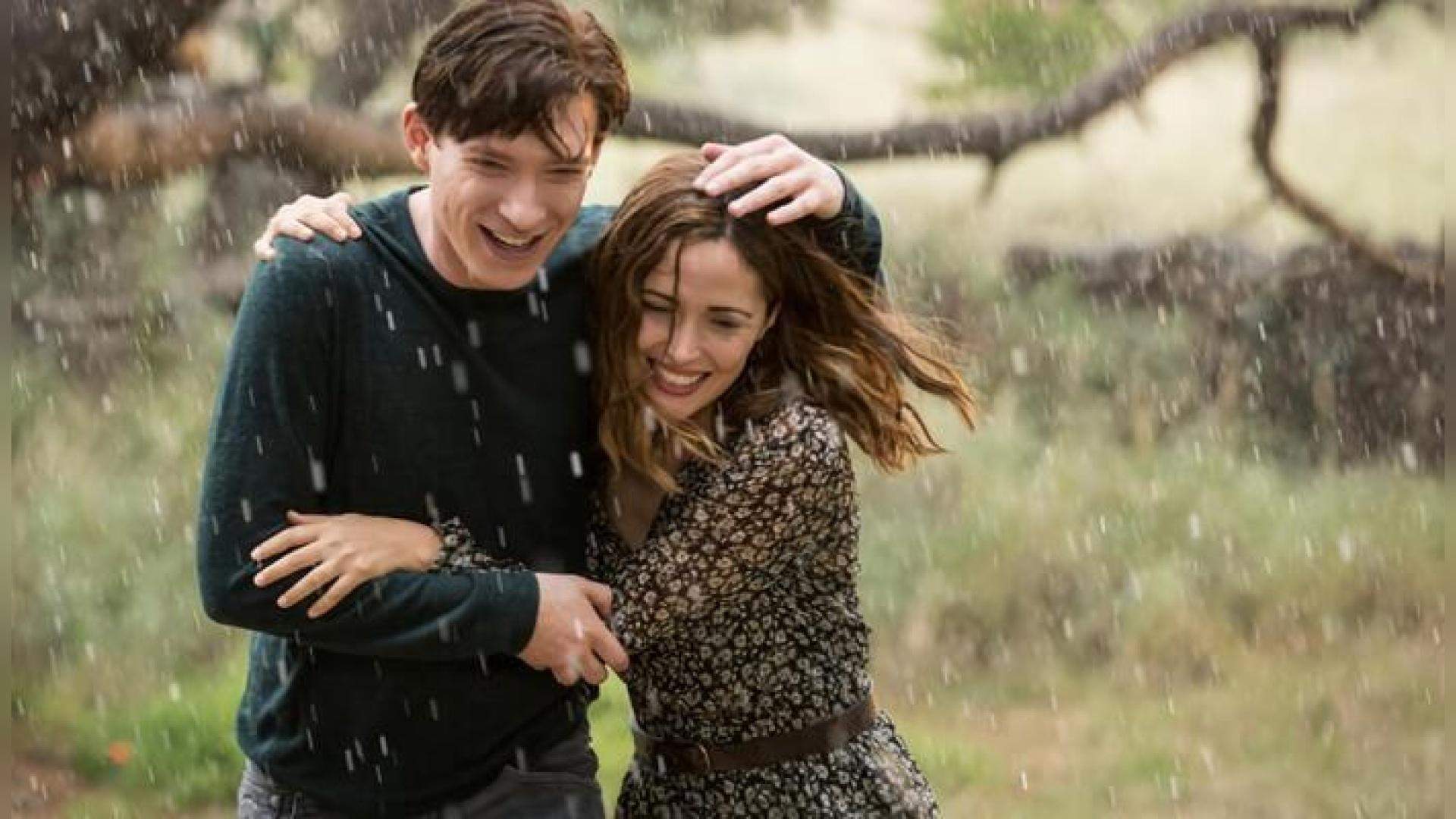 Peter Rabbit - Go3 Films | Go3