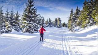 Eurosport 2 free live stream sale